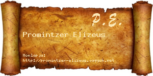 Promintzer Elizeus névjegykártya
